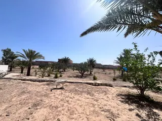 Photo 3 — Saniya - Chenini Gabès