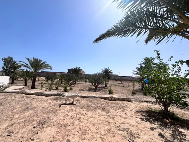 Saniya - Chenini Gabès