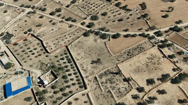 Terrain Ref82a