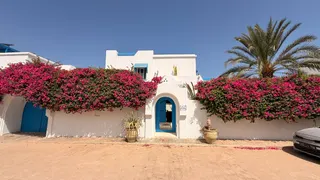 Photo 20 — Villa S+3 avec piscine privée – Houmt Souk, Djerba
