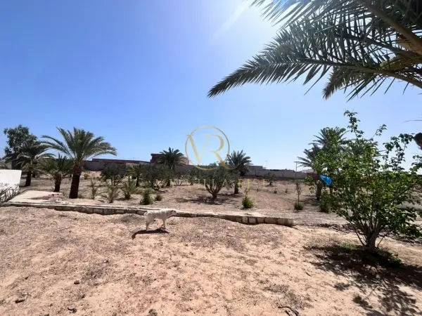 Saniya - Chenini Gabès